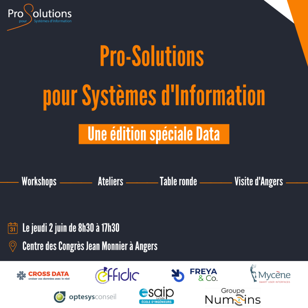 Pro-Solutions pour systèmes d'information