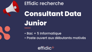 Consultant Data Junior