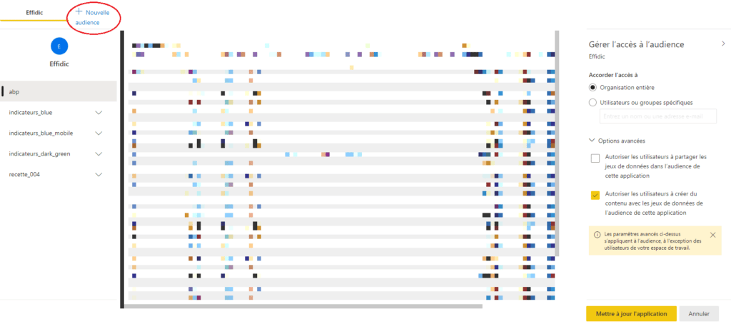 Capture d'écran explicant le fonctionnement des audiences sur PowerBI