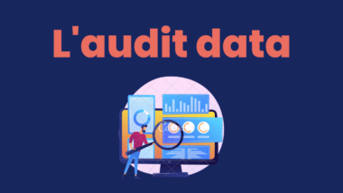 visuel audit data